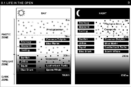 8. 1 LIFE IN THE OPEN 9 
