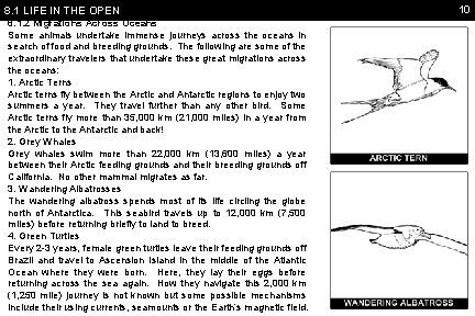 8. 1 LIFE IN THE OPEN 8. 1. 2 Migrations Across Oceans Some animals