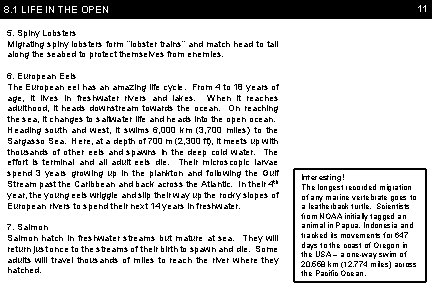 8. 1 LIFE IN THE OPEN 11 5. Spiny Lobsters Migrating spiny lobsters form