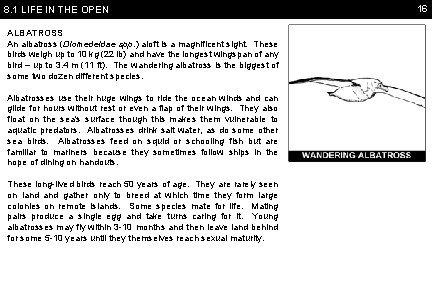8. 1 LIFE IN THE OPEN ALBATROSS An albatross (Diomedeidae spp. ) aloft is