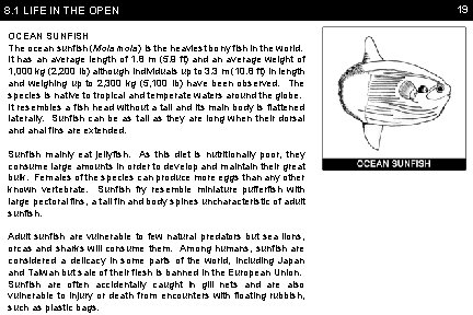 8. 1 LIFE IN THE OPEN OCEAN SUNFISH The ocean sunfish (Mola mola) is