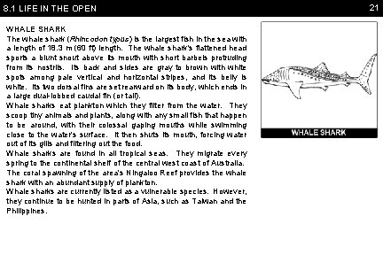 8. 1 LIFE IN THE OPEN WHALE SHARK The whale shark (Rhincodon typus) is