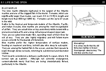 22 8. 1 LIFE IN THE OPEN BLUE MARLIN The blue marlin (Makaira nigricans)