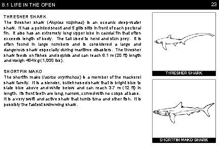 8. 1 LIFE IN THE OPEN THRESHER SHARK The thresher shark (Alopias vulpinas) is