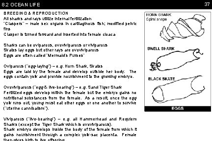 8. 2 OCEAN LIFE BREEDING & REPRODUCTION All sharks and rays utilize internal fertilization