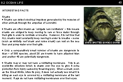 8. 2 OCEAN LIFE INTERESTING FACTS Sharks can detect electrical impulses generated by the