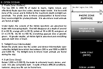 8. OPEN OCEAN 2. Photic Zone (Surface) The top 200 m (656 ft) of