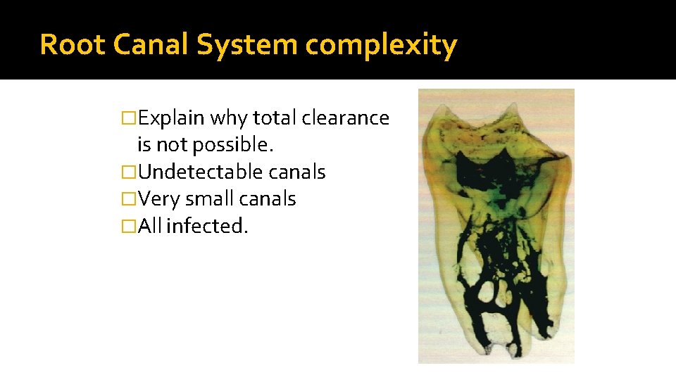 Root Canal System complexity �Explain why total clearance is not possible. �Undetectable canals �Very