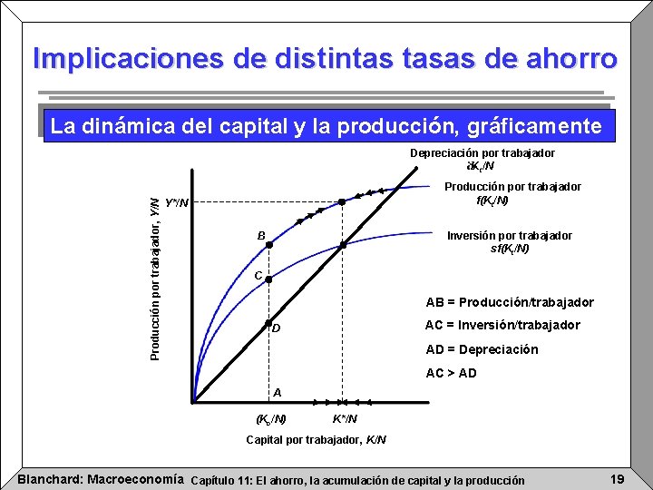 Implicaciones de distintas tasas de ahorro La dinámica del capital y la producción, gráficamente