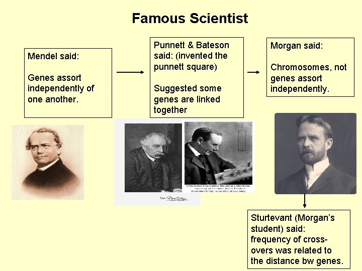 Famous Scientist Mendel said: Genes assort independently of one another. Punnett & Bateson said:
