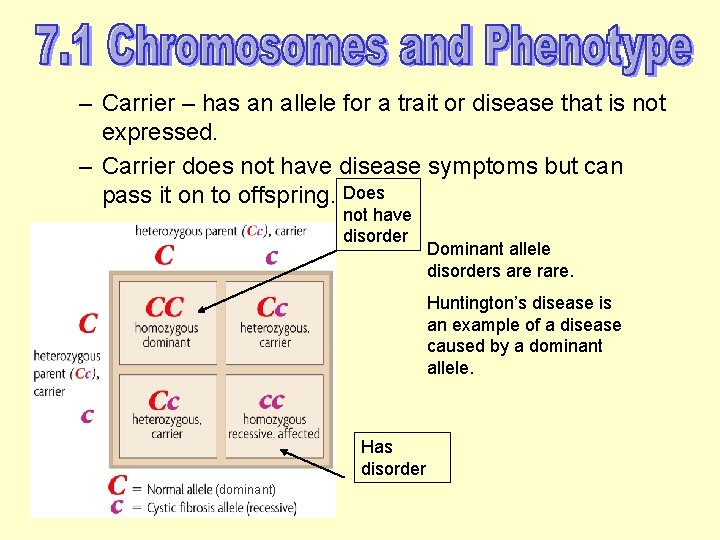 – Carrier – has an allele for a trait or disease that is not