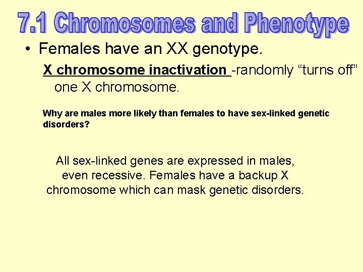  • Females have an XX genotype. X chromosome inactivation -randomly “turns off” one