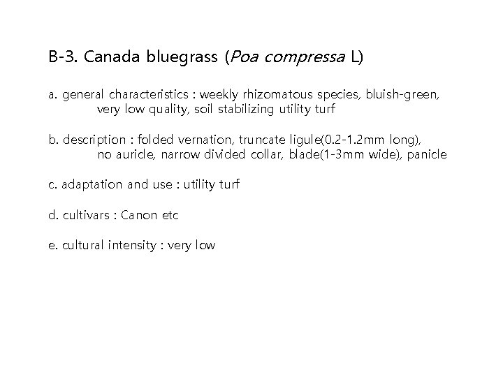 B-3. Canada bluegrass (Poa compressa L) a. general characteristics : weekly rhizomatous species, bluish-green,