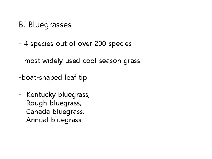 B. Bluegrasses - 4 species out of over 200 species - most widely used