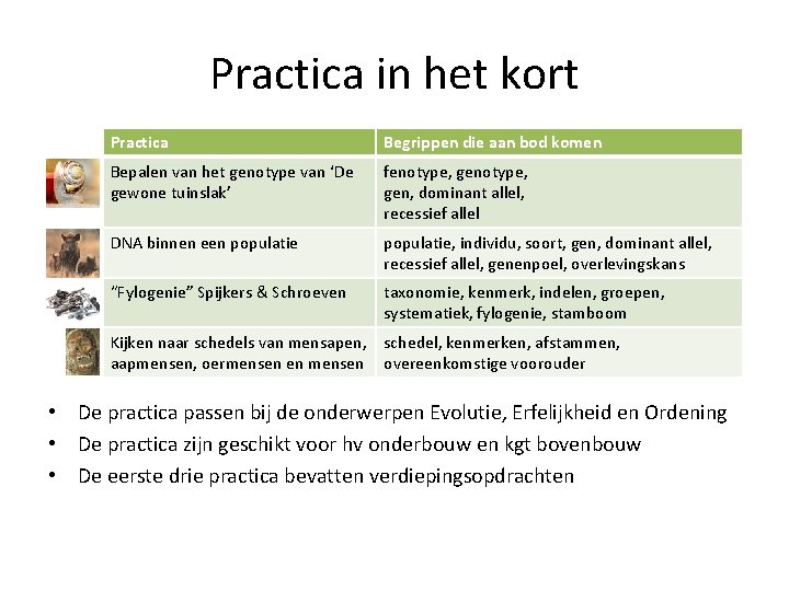 Practica in het kort Practica Begrippen die aan bod komen Bepalen van het genotype