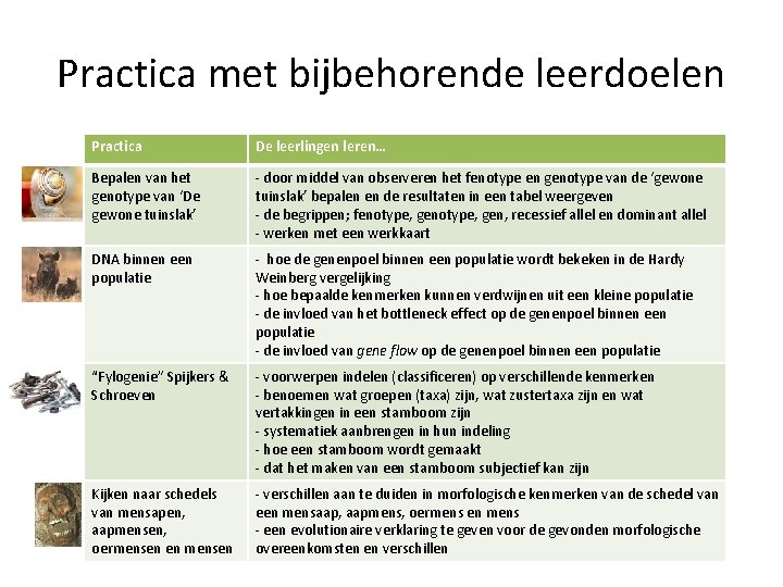 Practica met bijbehorende leerdoelen Practica De leerlingen leren… Bepalen van het genotype van ‘De