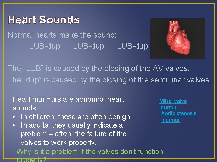 Heart Sounds Normal hearts make the sound: LUB-dup The “LUB” is caused by the Heart Sounds Normal hearts make the sound: LUB-dup The “LUB” is caused by the