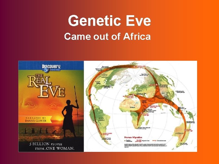 Genetic Eve Came out of Africa 