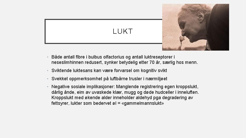 LUKT • Både antall fibre i bulbus olfactorius og antall luktreseptorer i neseslimhinnen redusert,