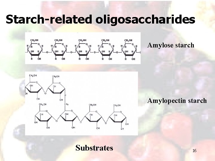 Starch-related oligosaccharides Amylose starch Amylopectin starch Substrates 16 