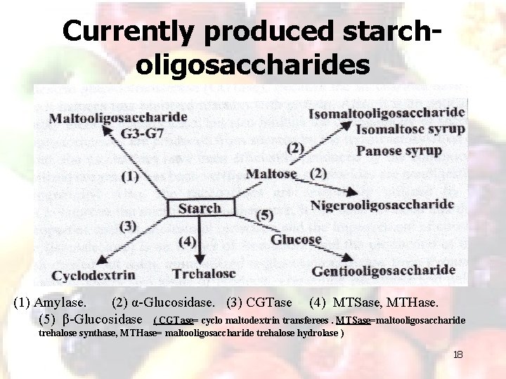 Currently produced starcholigosaccharides (1) Amylase. (2) α-Glucosidase. (3) CGTase (4) MTSase, MTHase. (5) β-Glucosidase