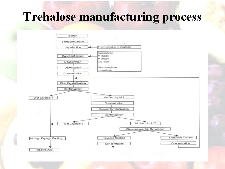 Trehalose manufacturing process 27 