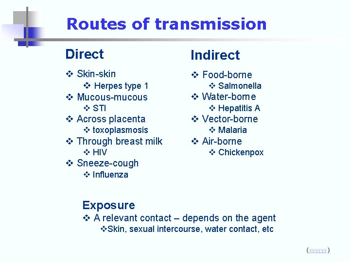 Routes of transmission Direct Indirect v Skin-skin v Herpes type 1 v Mucous-mucous v