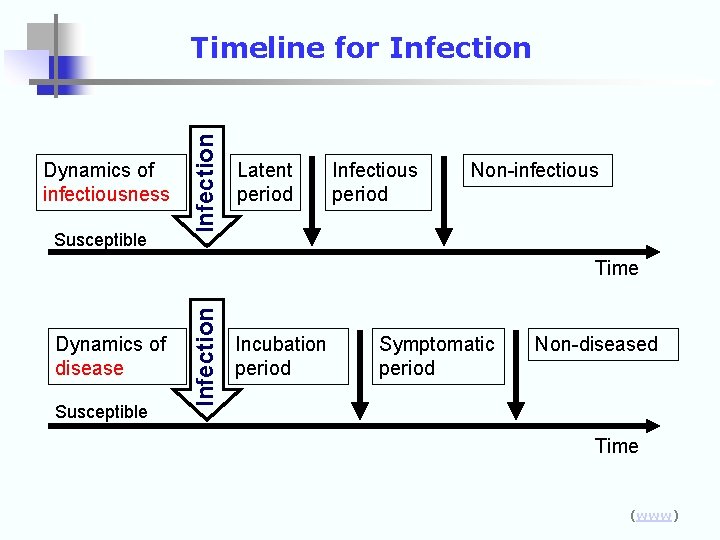 Dynamics of infectiousness Susceptible Infection Timeline for Infection Latent period Infectious period Non-infectious Dynamics