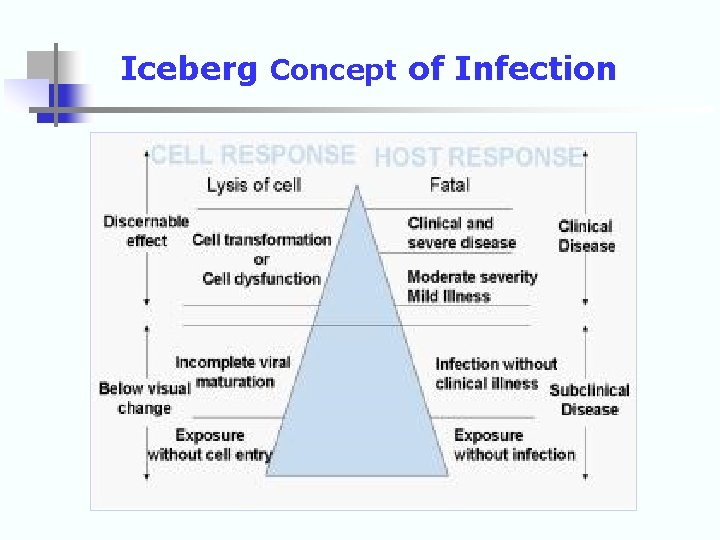 Iceberg Concept of Infection 