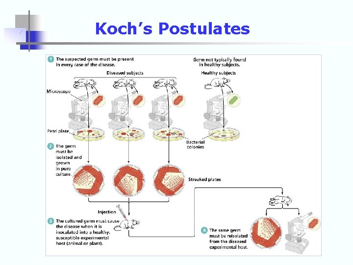 Koch’s Postulates 