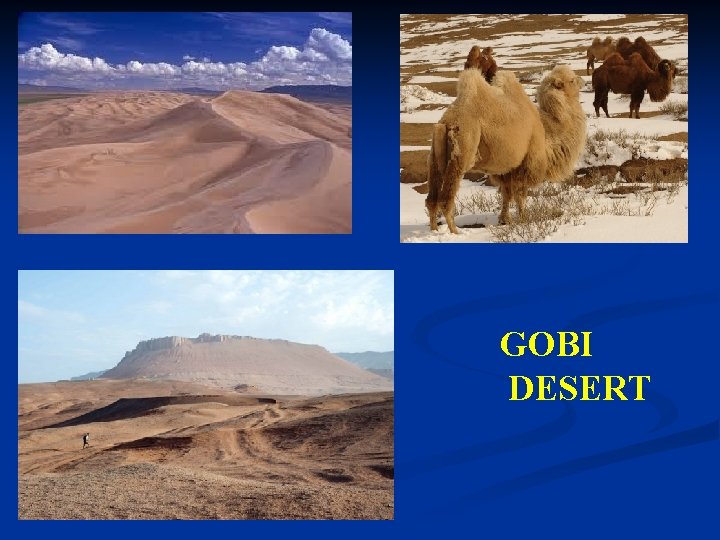 GOBI DESERT 