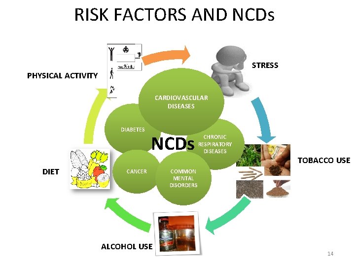 RISK FACTORS AND NCDs STRESS PHYSICAL ACTIVITY CARDIOVASCULAR DISEASES DIABETES DIET NCDs CANCER ALCOHOL
