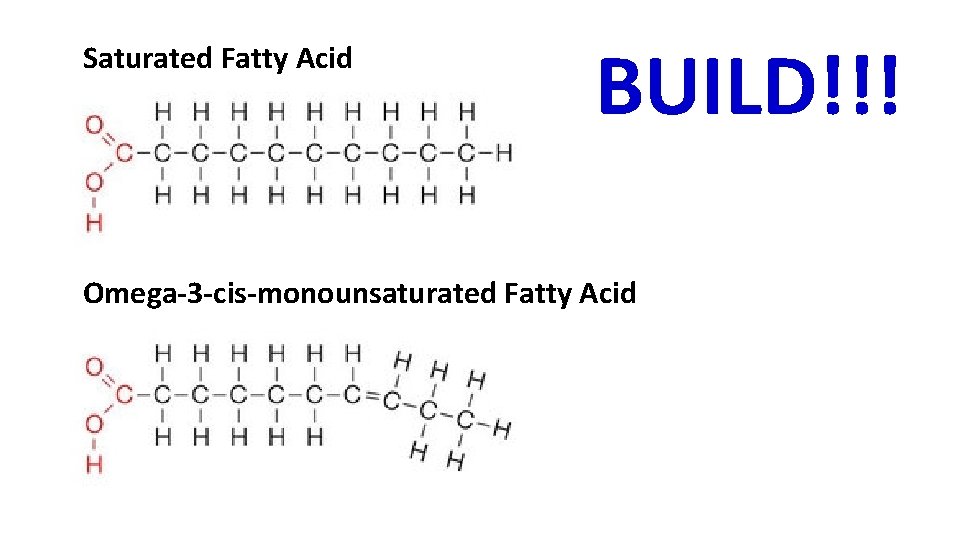 Saturated Fatty Acid BUILD!!! Omega-3 -cis-monounsaturated Fatty Acid 