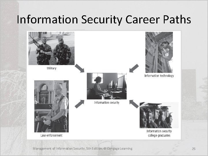 Information Security Career Paths Management of Information Security, 5 th Edition, © Cengage Learning
