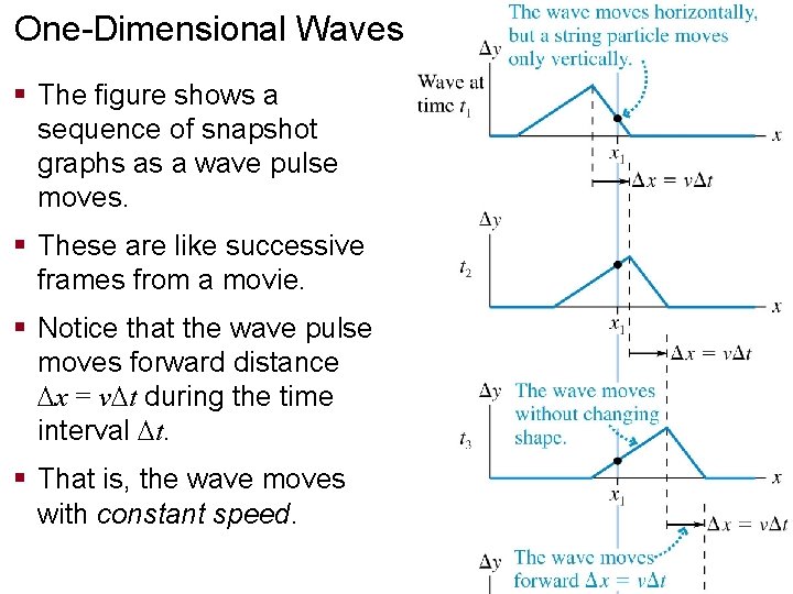 One-Dimensional Waves § The figure shows a sequence of snapshot graphs as a wave One-Dimensional Waves § The figure shows a sequence of snapshot graphs as a wave