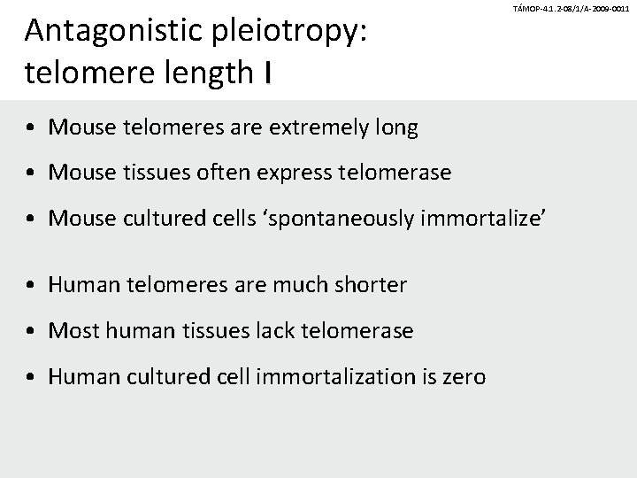 Antagonistic pleiotropy: telomere length I TÁMOP-4. 1. 2 -08/1/A-2009 -0011 • Mouse telomeres are