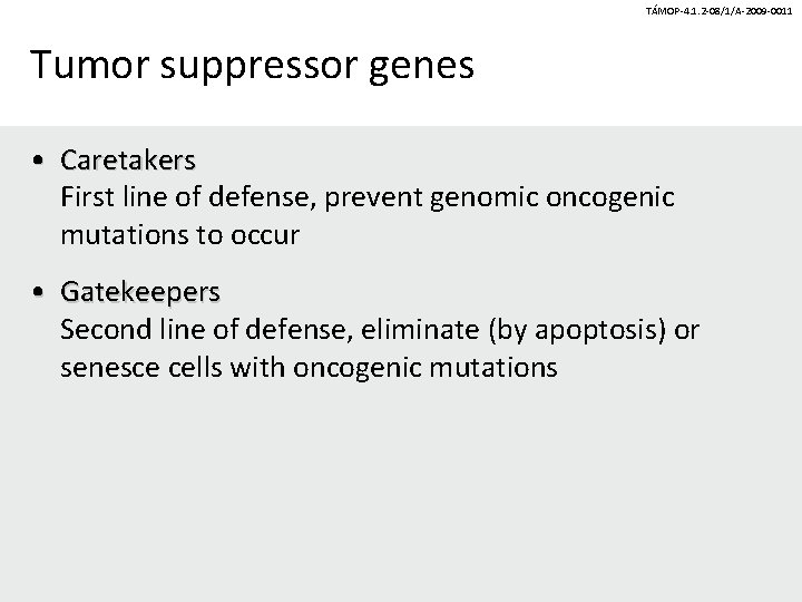 TÁMOP-4. 1. 2 -08/1/A-2009 -0011 Tumor suppressor genes • Caretakers First line of defense, TÁMOP-4. 1. 2 -08/1/A-2009 -0011 Tumor suppressor genes • Caretakers First line of defense,