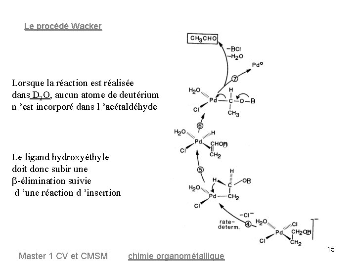 Le procédé Wacker D Lorsque la réaction est réalisée dans D 2 O, aucun