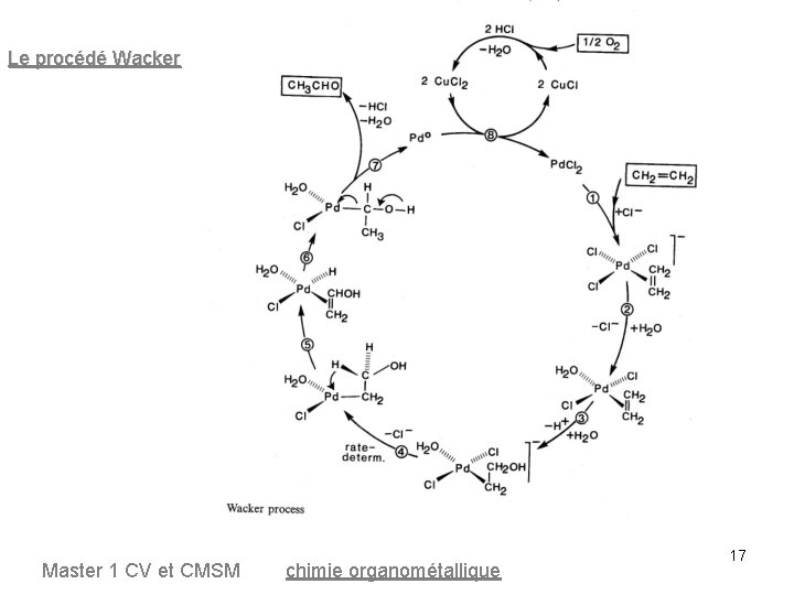Le procédé Wacker Master 1 CV et CMSM chimie organométallique 17 