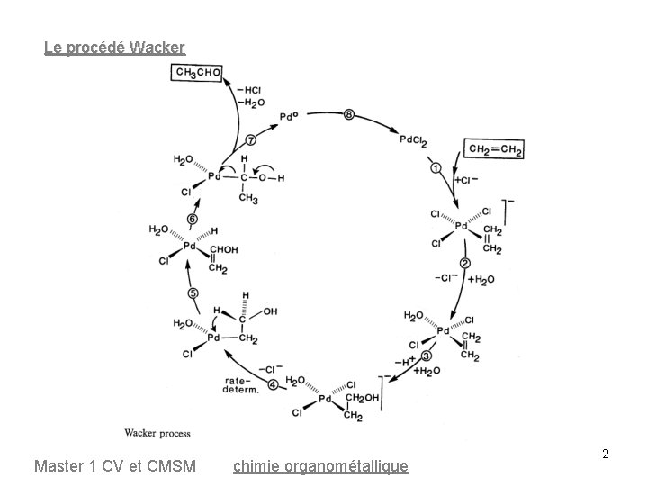 Le procédé Wacker Master 1 CV et CMSM chimie organométallique 2 