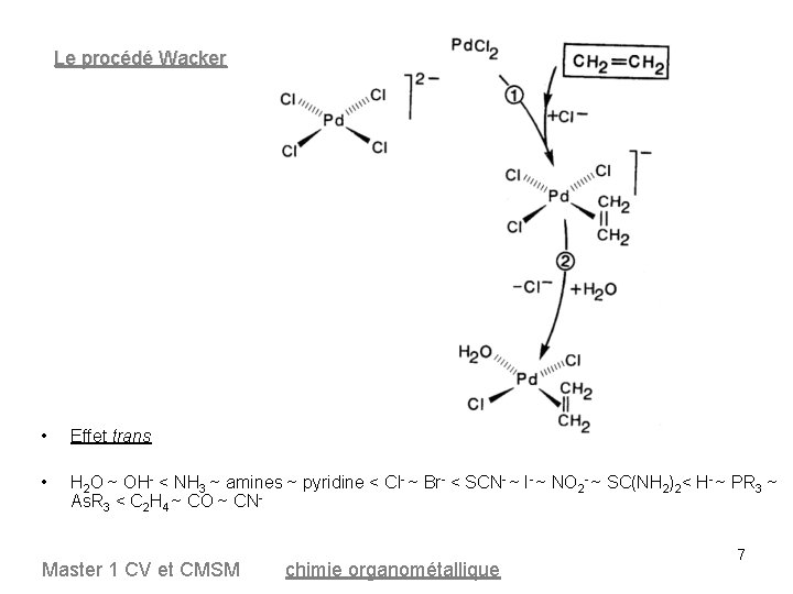 Le procédé Wacker • Effet trans • H 2 O ~ OH- < NH