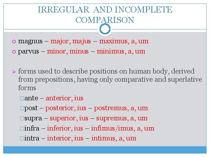 IRREGULAR AND INCOMPLETE COMPARISON magnus – major, majus – maximus, a, um parvus –