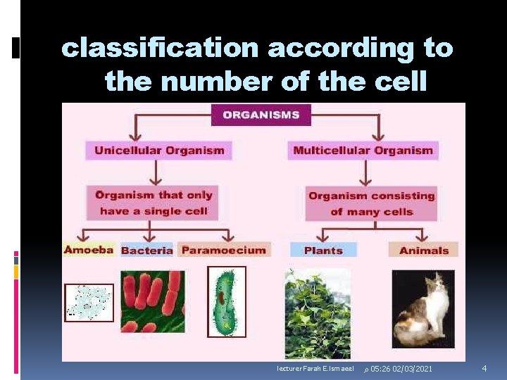 MEDICAL BIOLOGY CYTOLOGY LEC 1 INTRODUCTION AND CELL