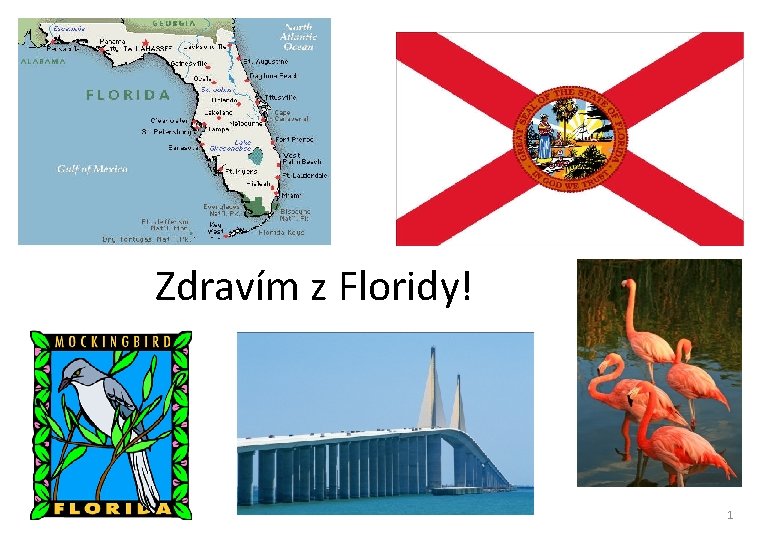 Zdravím z Floridy! 1 Zdravím z Floridy! 1