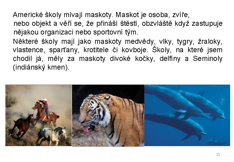 Americké školy mívají maskoty. Maskot je osoba, zvíře, nebo objekt a věří se, Americké školy mívají maskoty. Maskot je osoba, zvíře, nebo objekt a věří se,