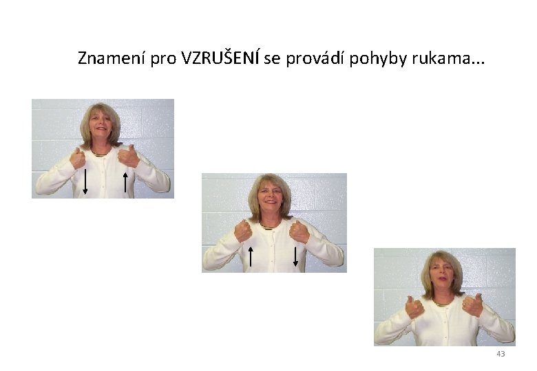 Znamení pro VZRUŠENÍ se provádí pohyby rukama. . . 43 Znamení pro VZRUŠENÍ se provádí pohyby rukama. . . 43