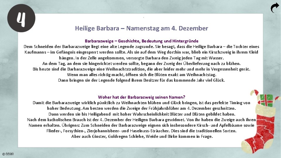 . Heilige Barbara – Namenstag am 4. Dezember Barbarazweige – Geschichte, Bedeutung und Hintergründe