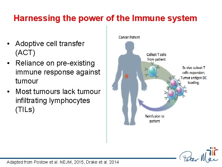 Enhancing CAR T cell therapy for cancer Phil