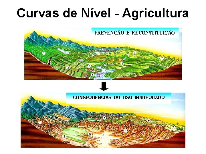 Curvas de Nível - Agricultura Curvas de Nível - Agricultura