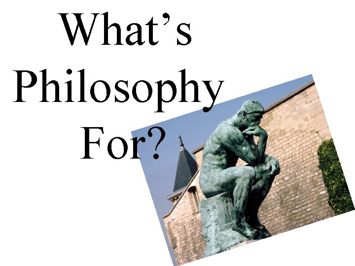 What’s Philosophy For? 